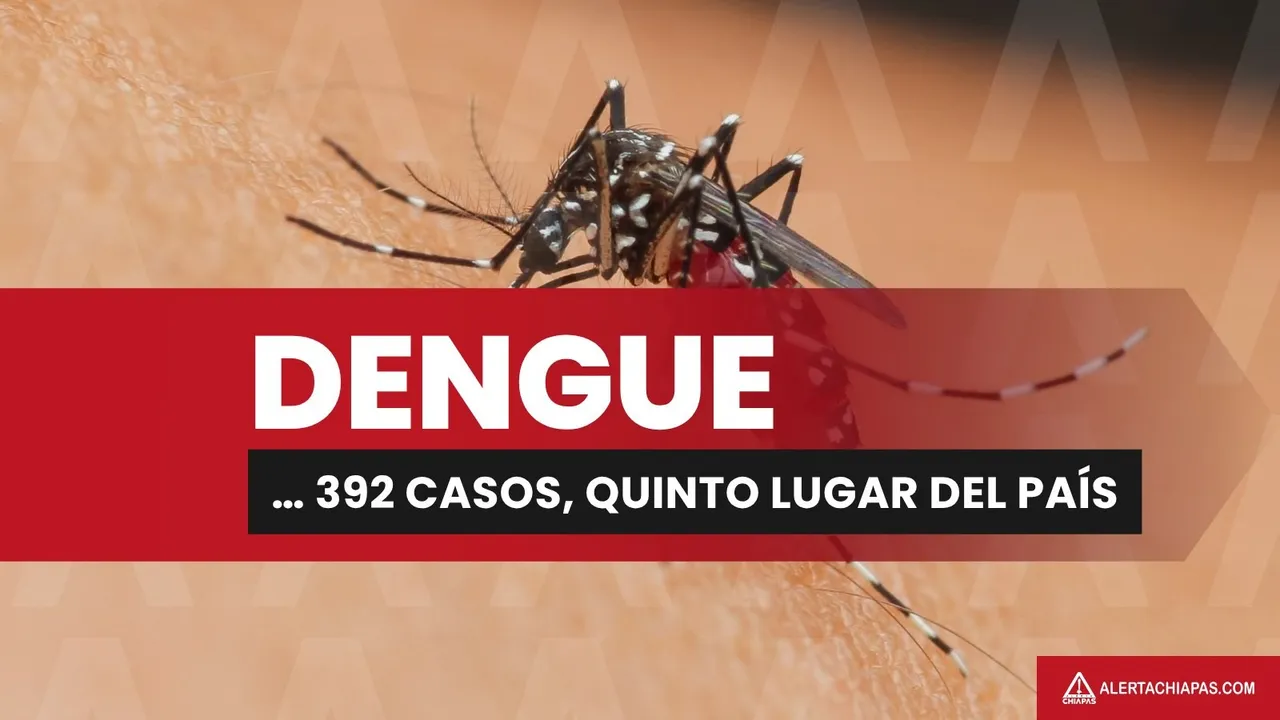 CHIAPAS SUMA 392 CASOS DE DENGUE Y PICHUCALCO ES FOCO DE CASOS GRAVES