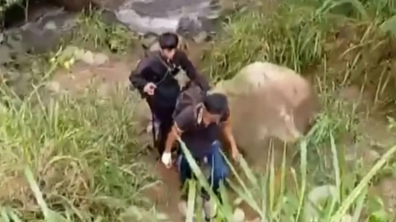 HALLAN MUERTAS A NIÑA DE 12 AÑOS Y SU ABUELA EN OSTUACÁN, CHIAPAS